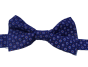 Bow tie in Shweshwe fabric Pattern : Blue dot